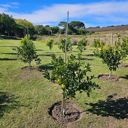 Die Heerenhuys Guest Suites Stellenbosch Eksteriør bilde