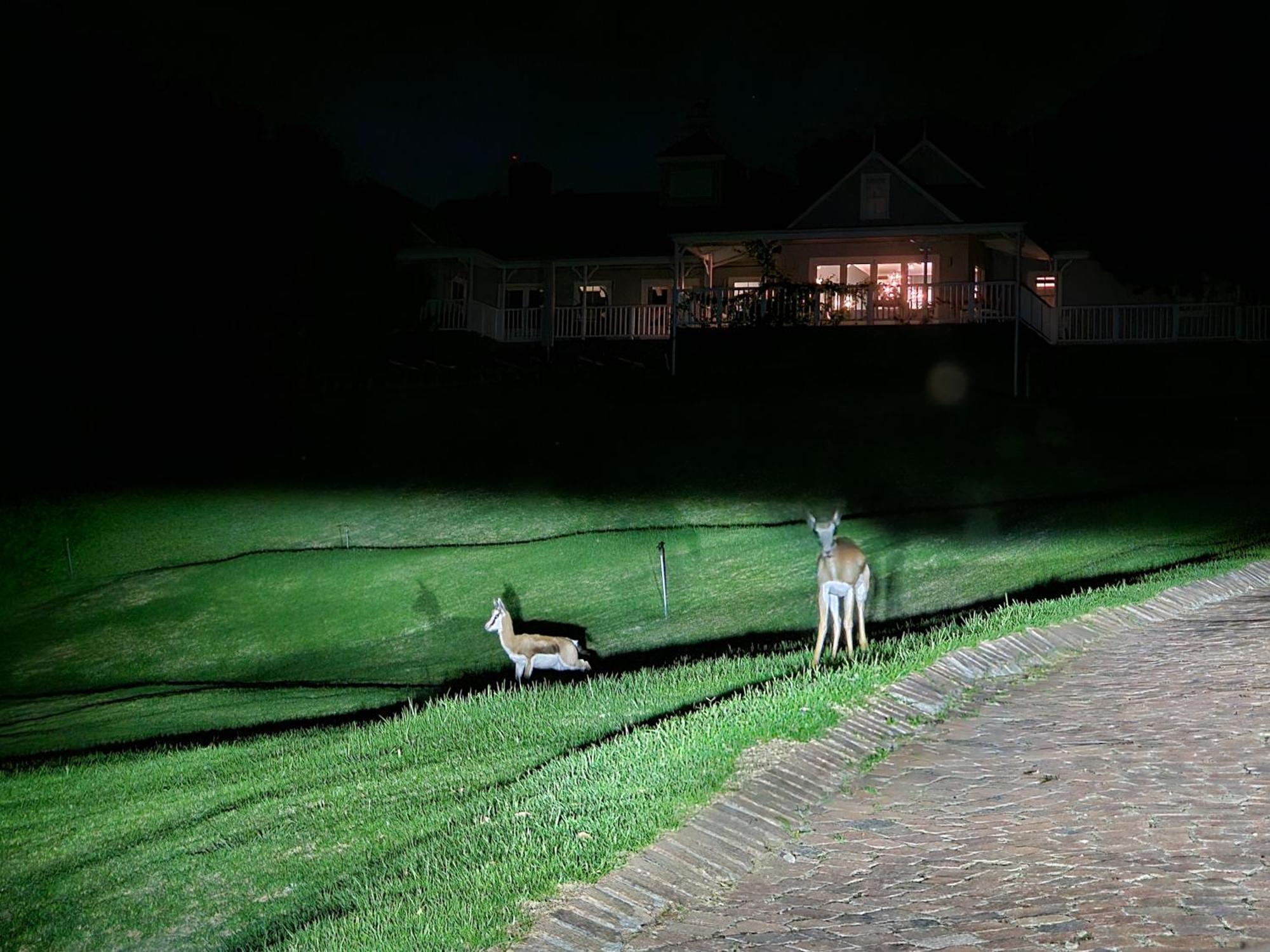 Die Heerenhuys Guest Suites Stellenbosch Eksteriør bilde